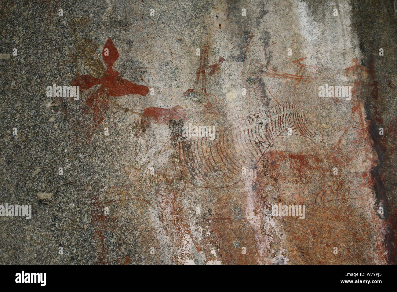 San paintings of Antelope, Matobo Hills, Zimbabwe. January 2011. Stock Photo