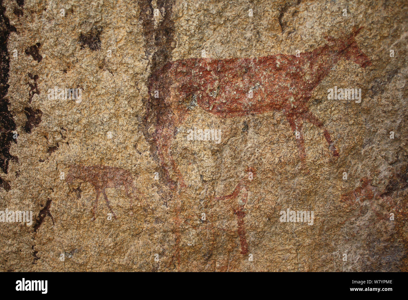 San rock painting antelope, Matobo Hills, Zimbabwe. January 2011. Stock Photo