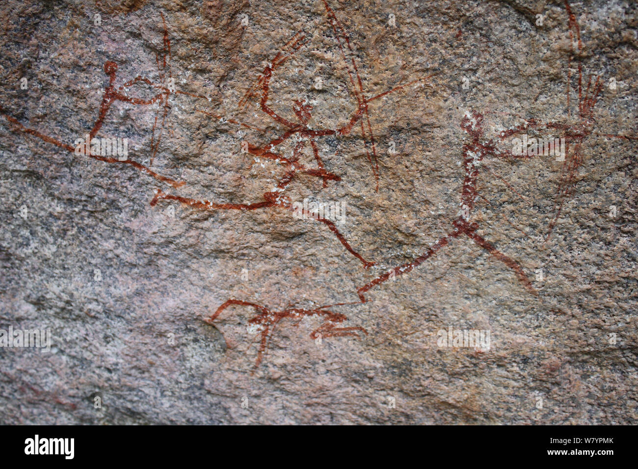 San rock paintings of hunters, Matobo Hills, Zimbabwe. January 2011. Stock Photo