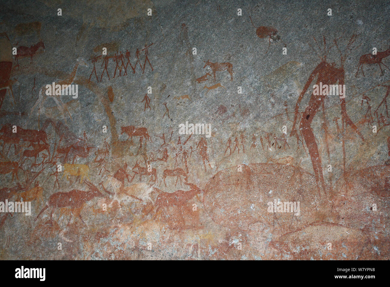 San rock paintings of human figures and various antelopes, Matobo Hills, Zimbabwe. January 2011. Stock Photo