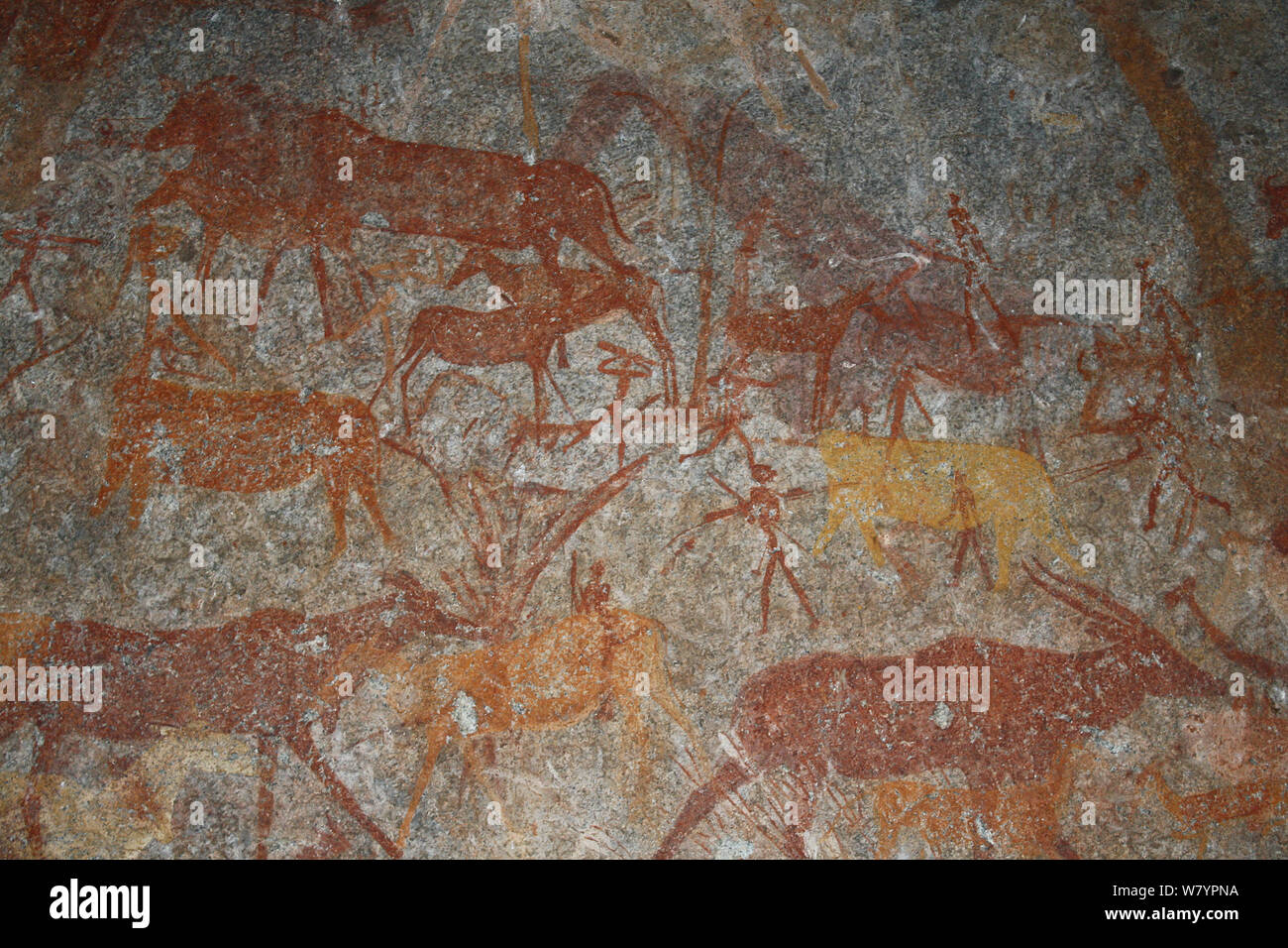 San rock paintings of antelopes, Matobo Hills, Zimbabwe. January 2011. Stock Photo