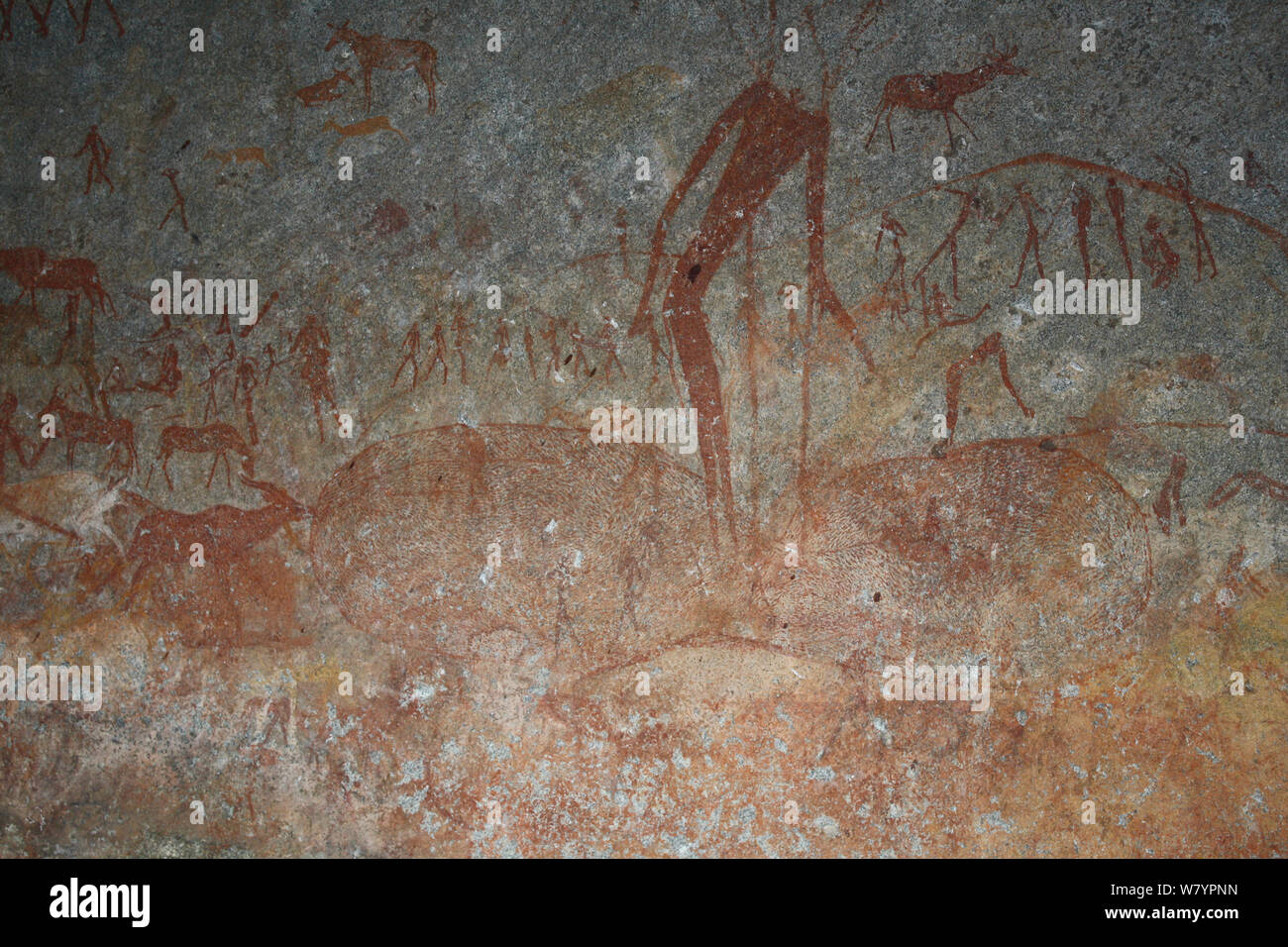 San rock paintings of humans and antelopes, Matobo Hills, Zimbabwe. January 2011. Stock Photo