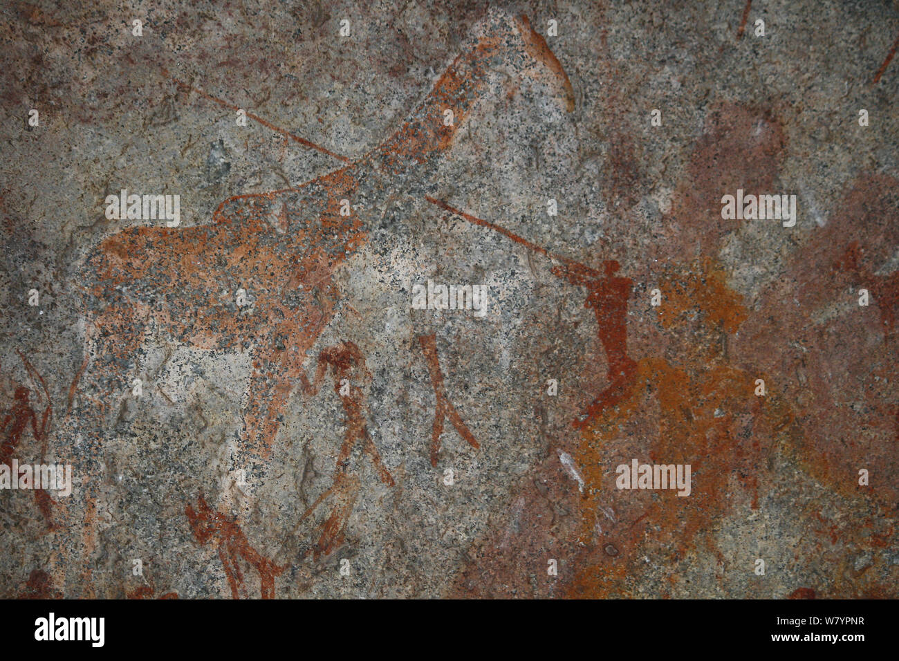 San rock paintings of Giraffe and hunters, Matobo Hills, Zimbabwe. January 2011. Stock Photo