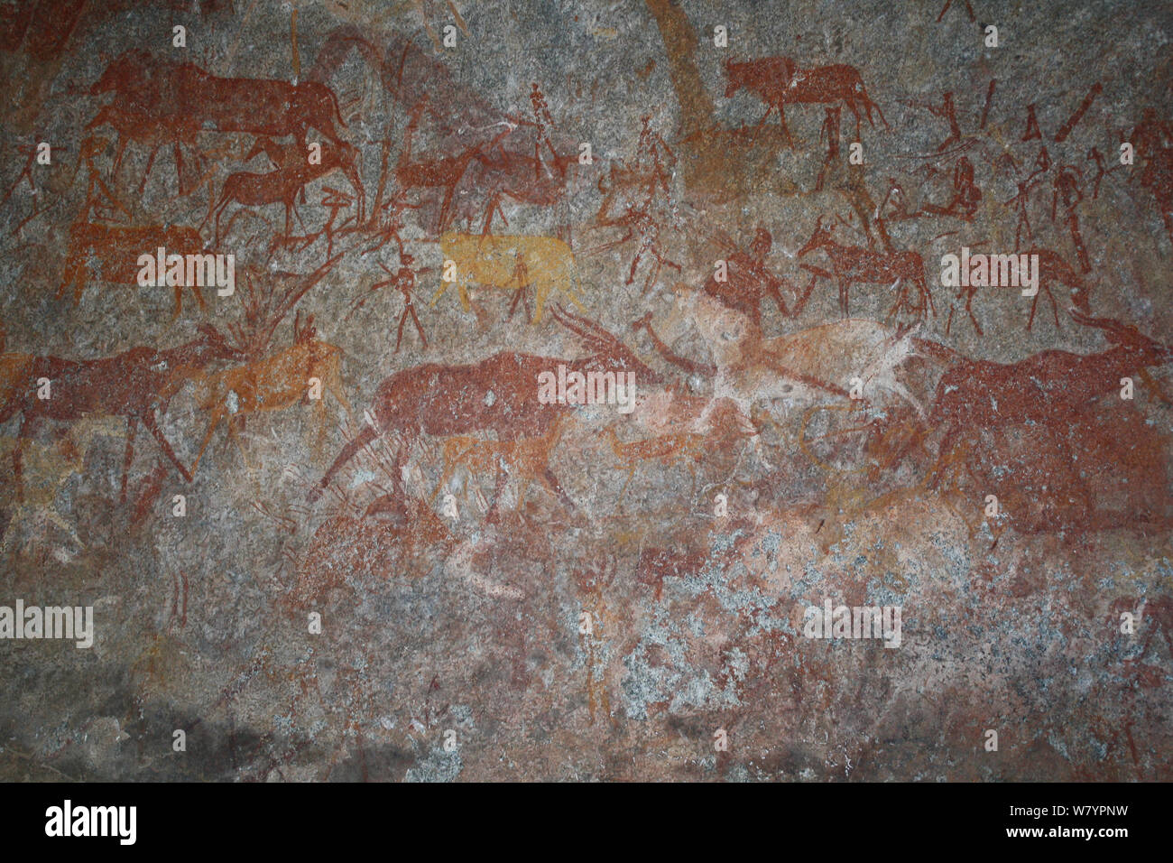 San rock paintings of humans figures and antelopes, Matobo Hills, Zimbabwe. January 2011. Stock Photo