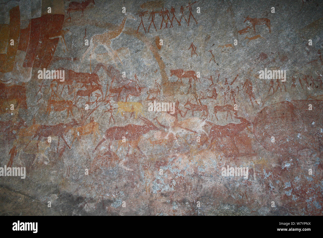 San rock paintings of antelopes and humans,, Matobo Hills, Zimbabwe. January 2011. Stock Photo