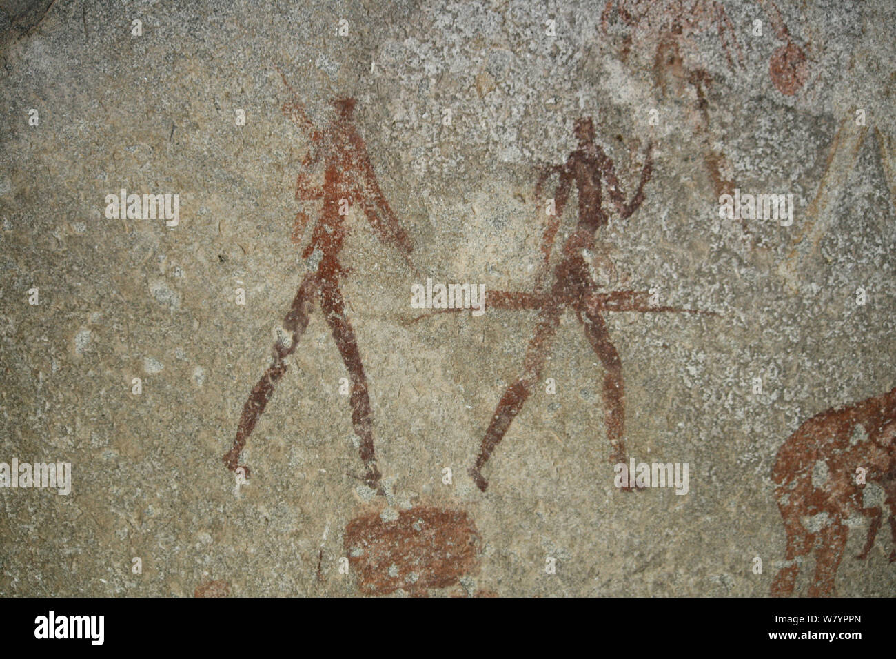 San rock paintings of human figures, Matobo Hills, Zimbabwe. January 2011. Stock Photo