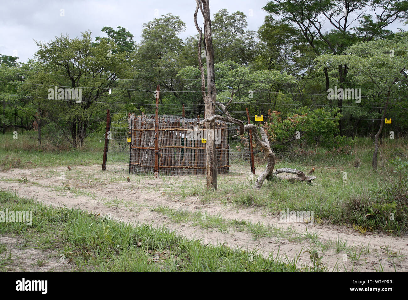 Elephant corridor with electric fence to keep away from local farms, Sioma Nqwezi Park, Zambia. November 2010. Stock Photo