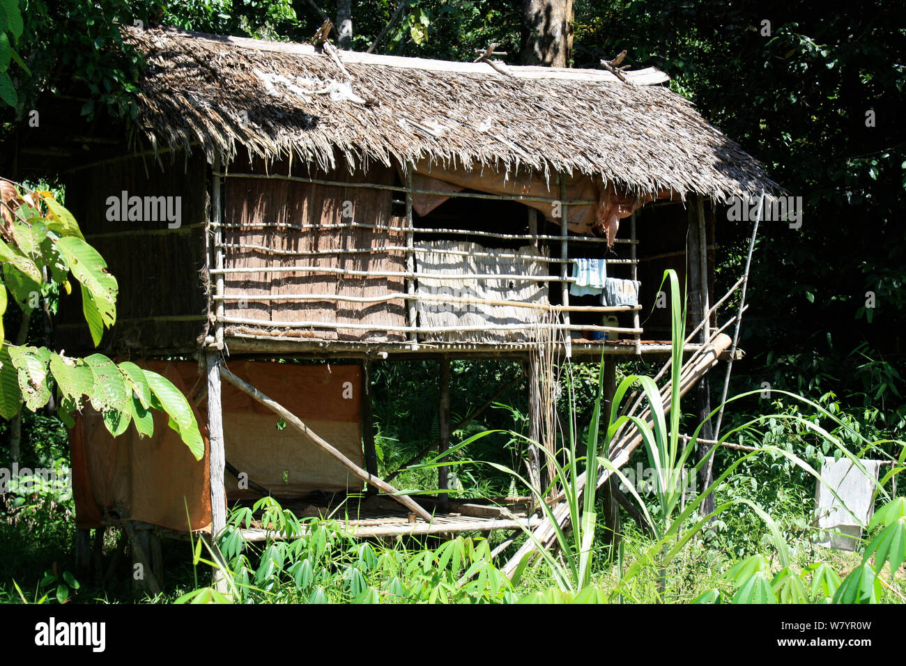 Traditionally built house on stilts, Central Kalimantan. Indonesian