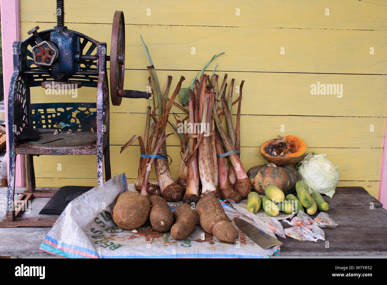 Farm produce outside house with yam, casava and pumpkins, with sugar cane press. Gunung Palung National Park, West Kalimantan, Indonesian Borneo. July 2010. Stock Photo