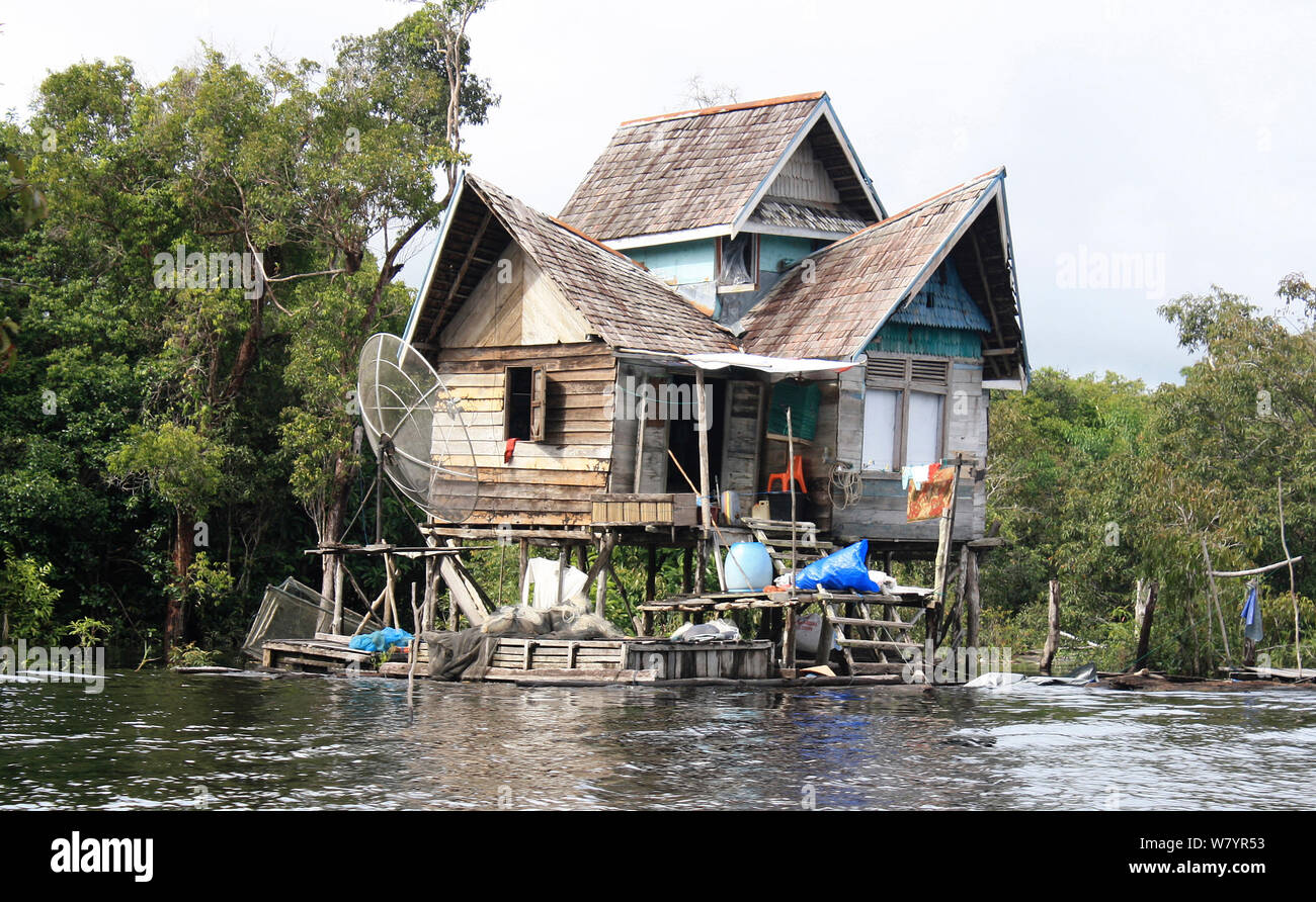 Gunung palung national park borneo hires stock photography and images