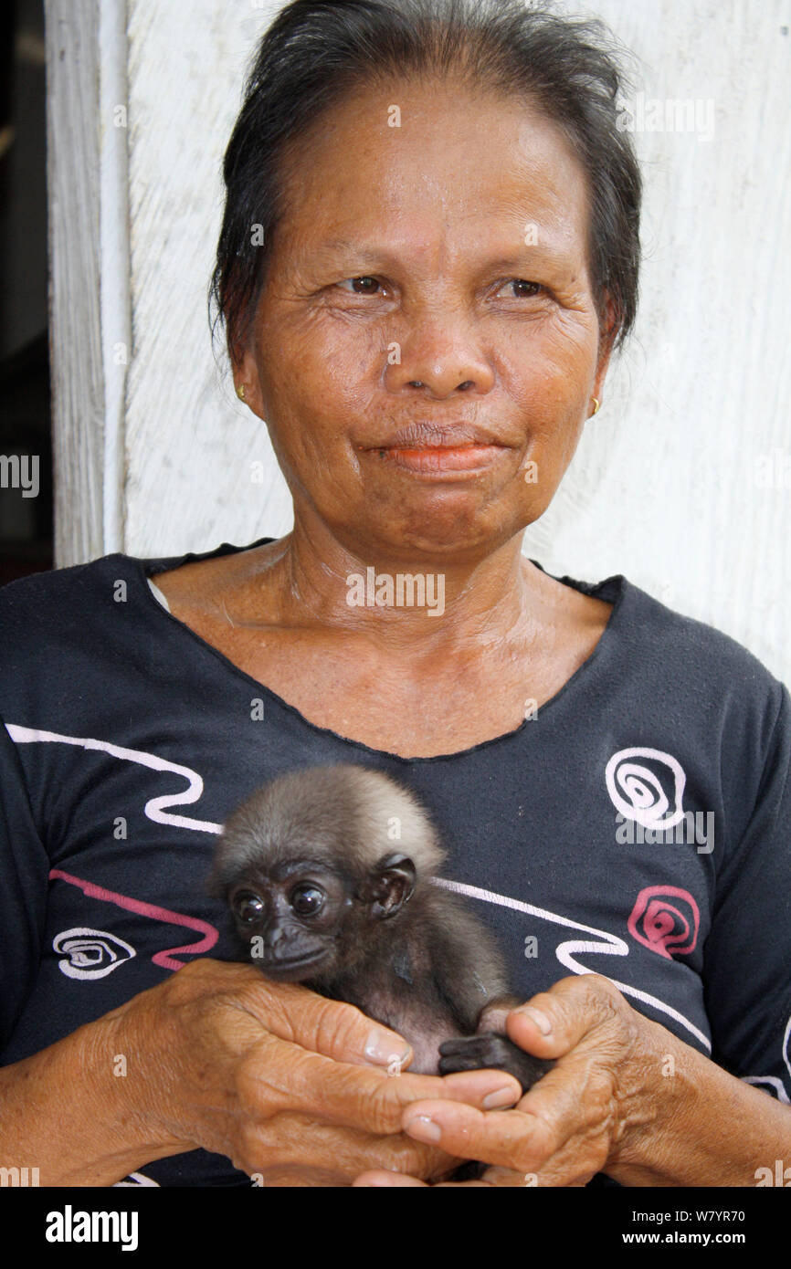 Woman holding orphan baby gibbon (Hylobates) whose mother has been killed in palm oil plantation, Southern Kalimantan, Indonesian Borneo. August 2010. Stock Photo