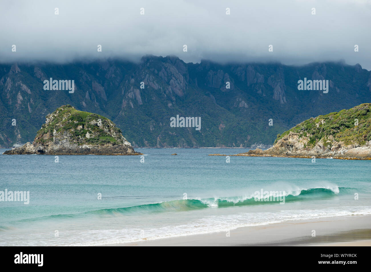 Codfish Island / Whenua Hou covered by cloud, main habitat of critically endangered Kakapo, Southland, New Zealand, February. Stock Photo