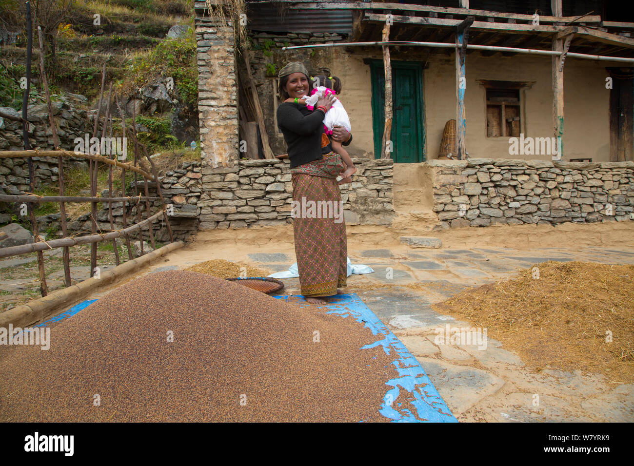 Mother with daughter amongst wheat separated from chaff, near the mountain village of Ghandruk, Modi Khola Valley, Himalayas, Nepal. November 2014. Stock Photo