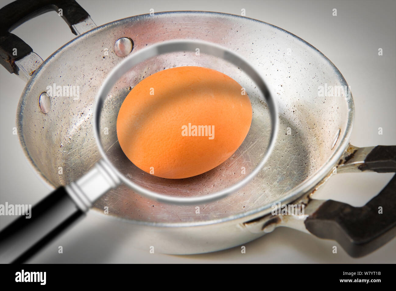 Quality control about salmonella bacterium on eggs on cooking pan