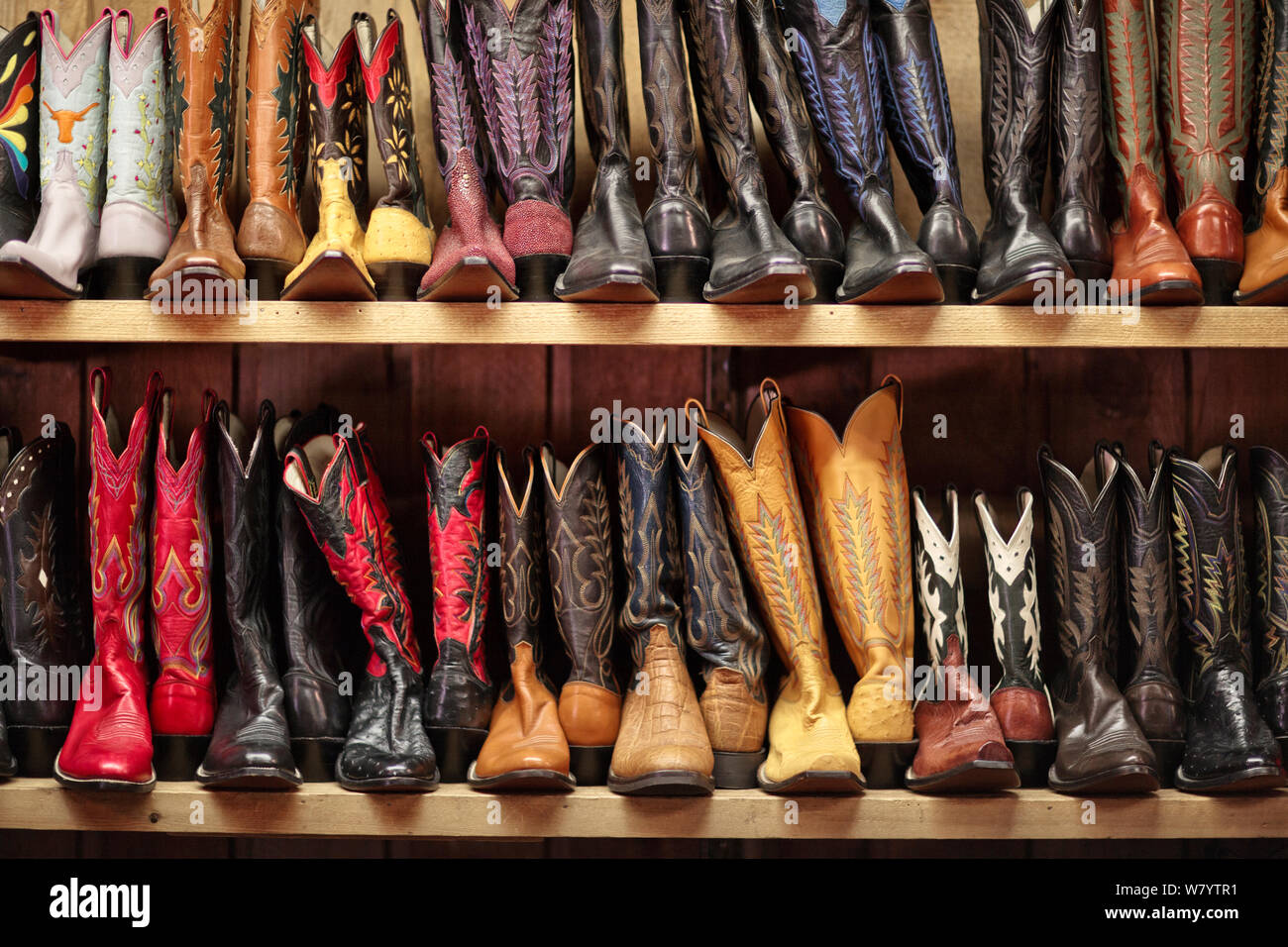 Rows of cowboy boots lined up on shelves. Stock Photo
