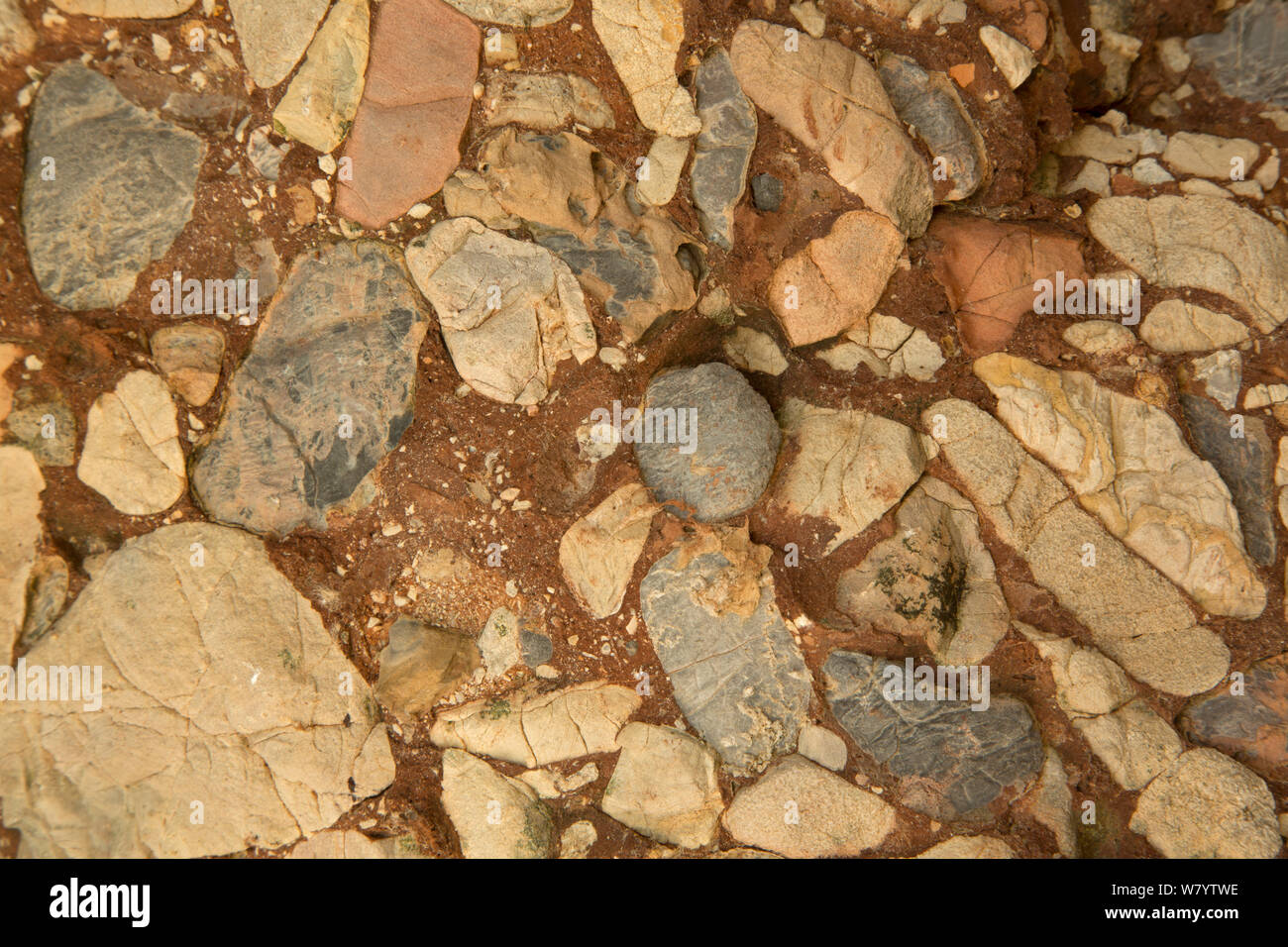 Conglomerate sedimentary rock hi-res stock photography and images - Alamy