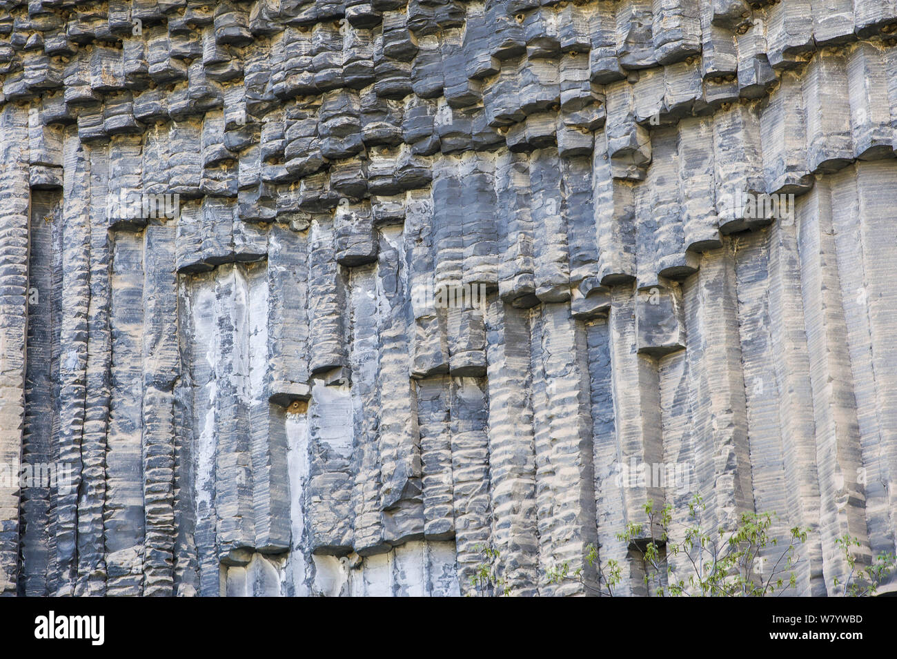 Basalt columns, Garni gorge, Armenia, May. Stock Photo
