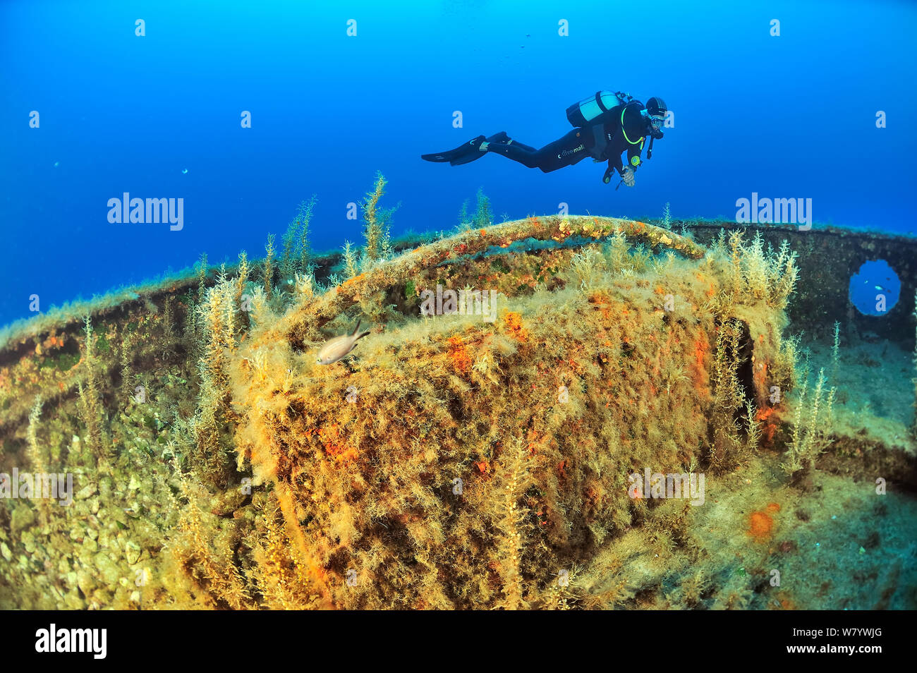 Diver diving the wreck of the tug boat Rozi scuttled in 1992 off Cirkewwa, Malta, Mediterranean Sea. June 2014. Stock Photo