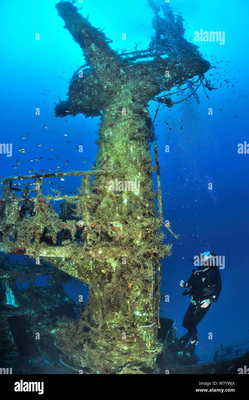 Diver exploring the wreck of the P29 patrol boat scuttled as an artificial dive site in August 2007. Wreck covered in algae and invertebrates and surrounded by fish. Malta, Mediterranean Sea. June 2014. Stock Photo