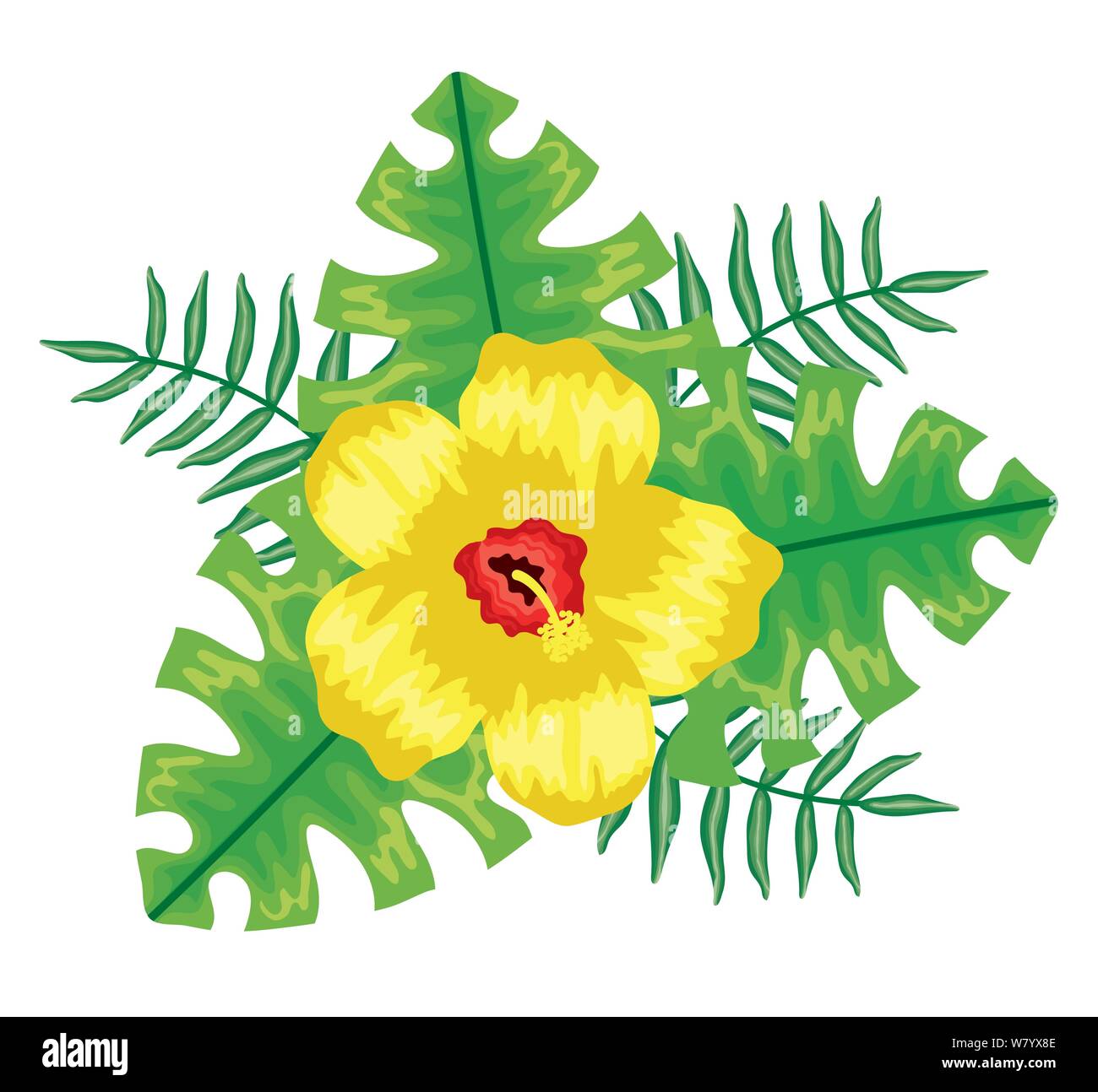 tropical flower and leafs plants vector illustration design Stock ...