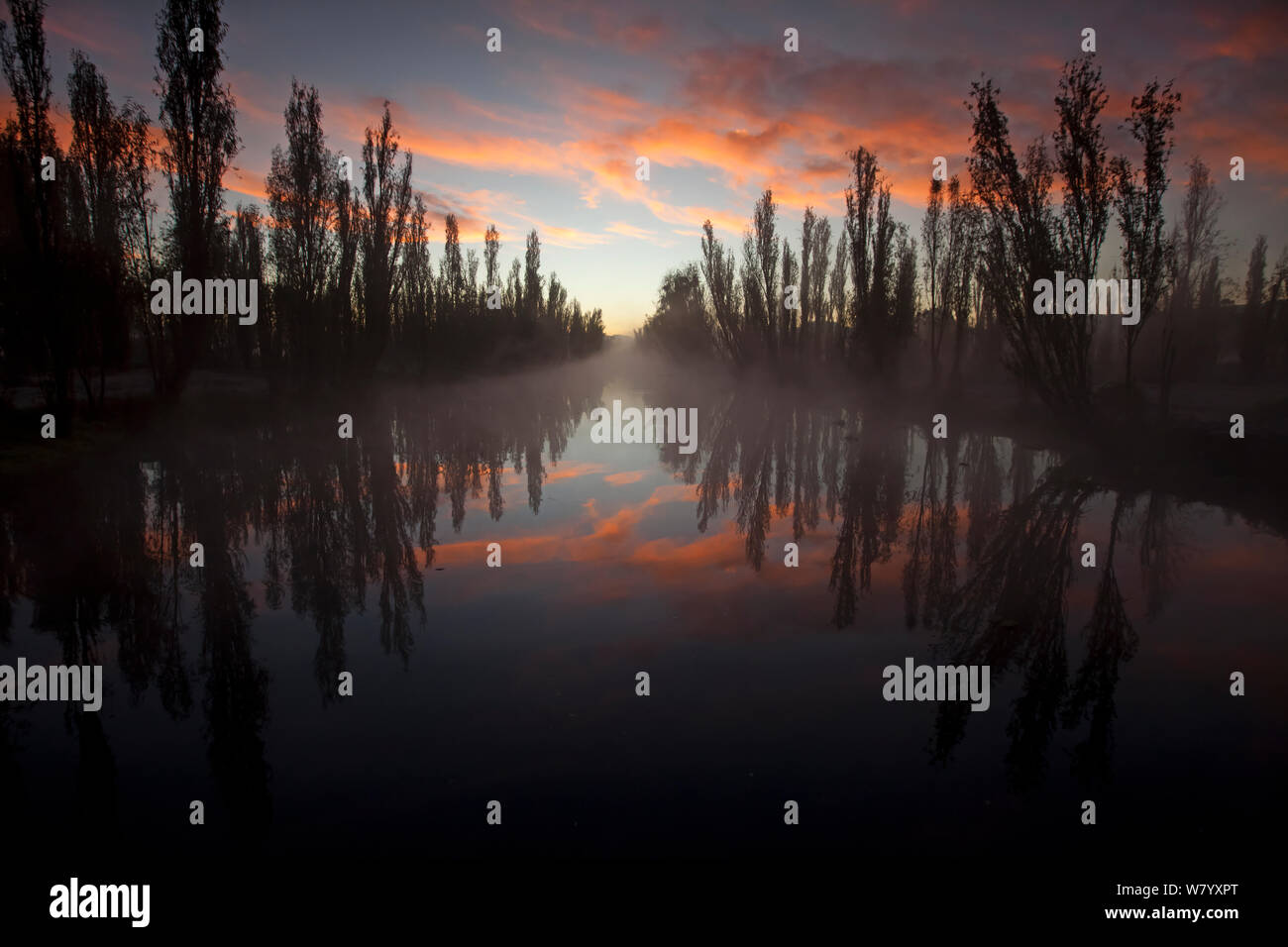 Canal between chinampas, a wetland agricultural system, at dawn
