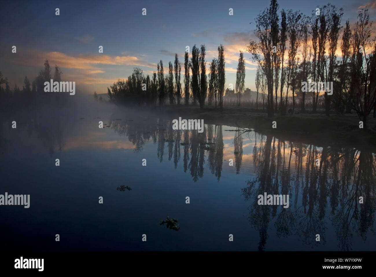 Canal between chinampas, a wetland agricultural system, at dawn