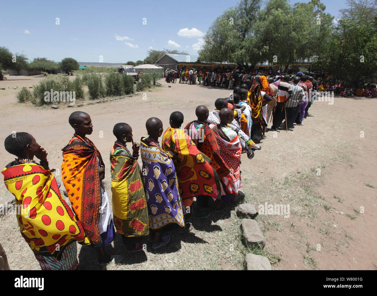 Masai people queuing to vote on election day, Kenya, March 2013. Stock Photo