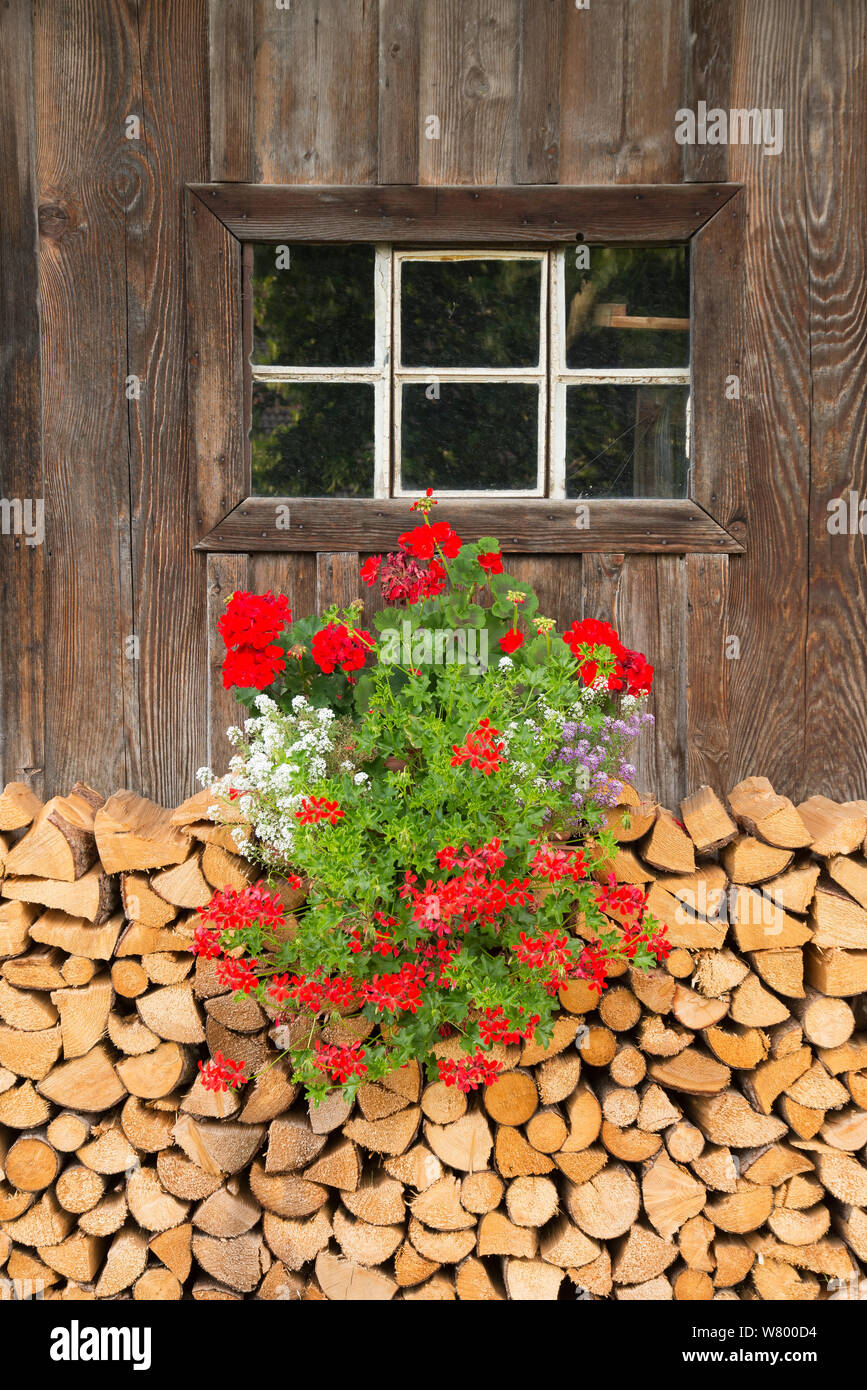 Fenster mit Geranien und Holzstapel in den Bayerischen Alpen Stock Photo