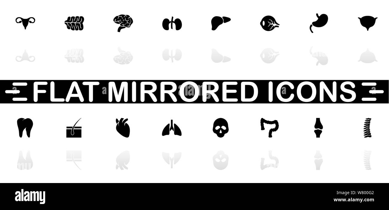 Organs icons - Black symbol on white background. Simple illustration ...