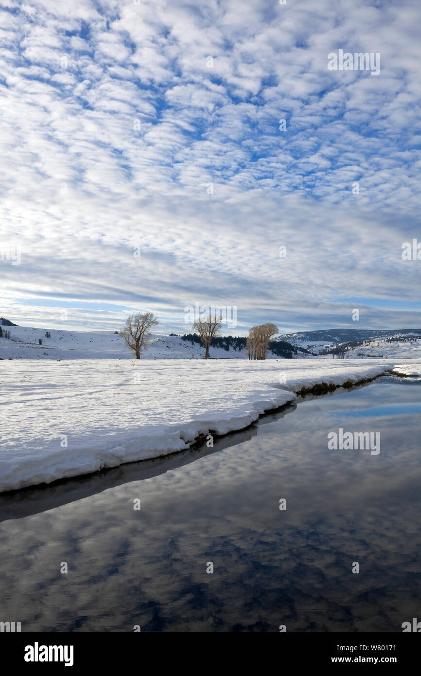 Lamar River in snow, Lamar Valley of Yellowstone National Park, Wyoming, USA. February 2015. Stock Photo