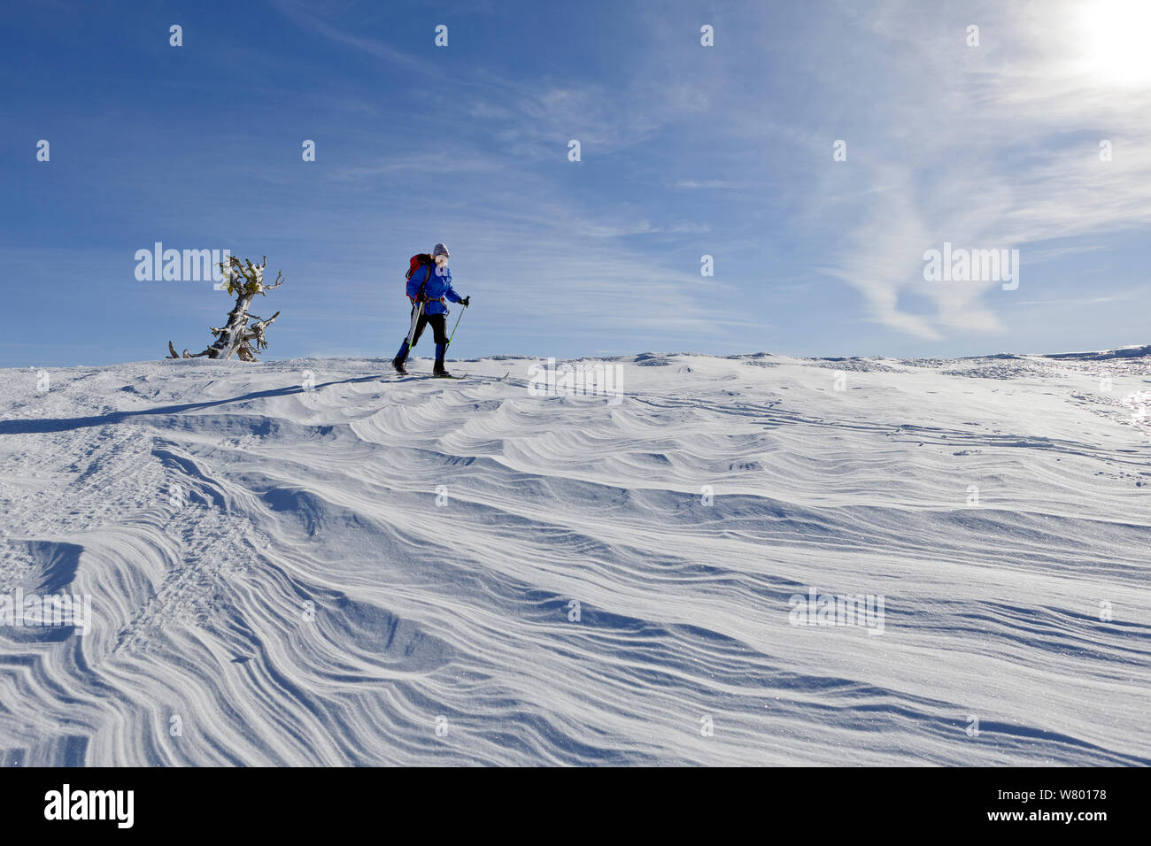 Cross country skier, Crater Lake National Park, Merriam Point, Oregon, USA. January 2015. Model released. Stock Photo