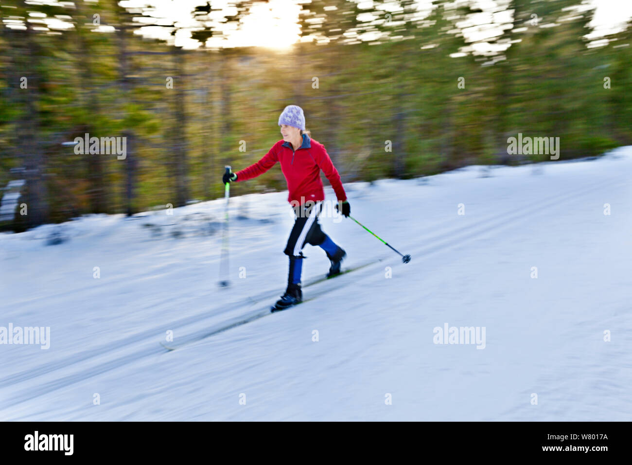 Cross country skier on  groomed ski trail, near Mount Bachelor.  Oregon , USA. January 2015. Model released. Stock Photo