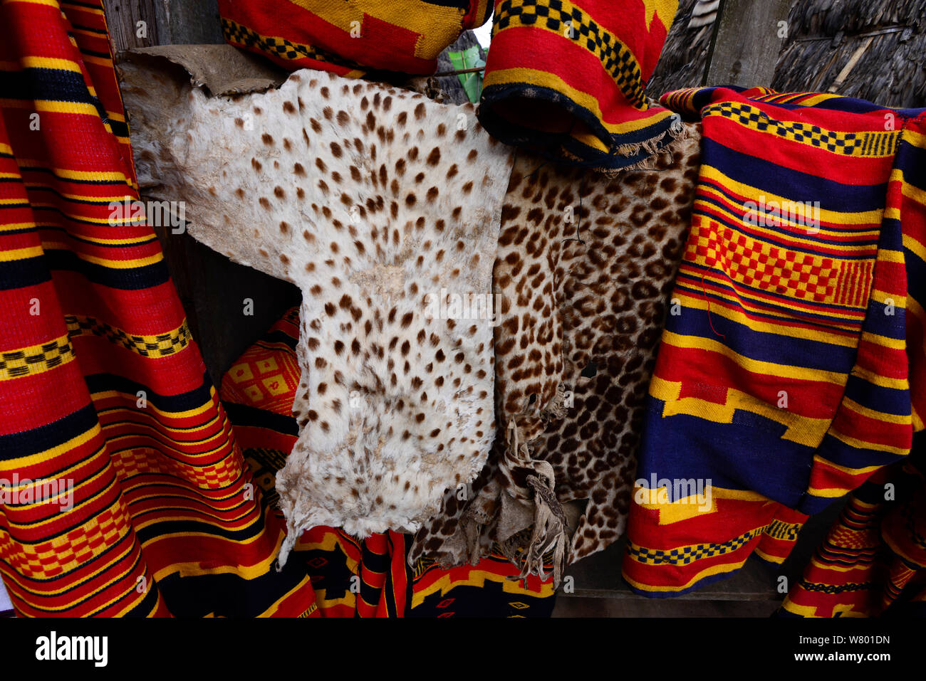 Animal skins native hires stock photography and images Alamy