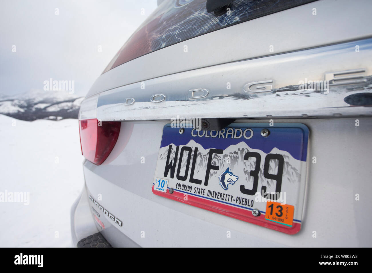 Car with number plate indicating support for wolves, Yellowstone National Park, USA, February. Stock Photo