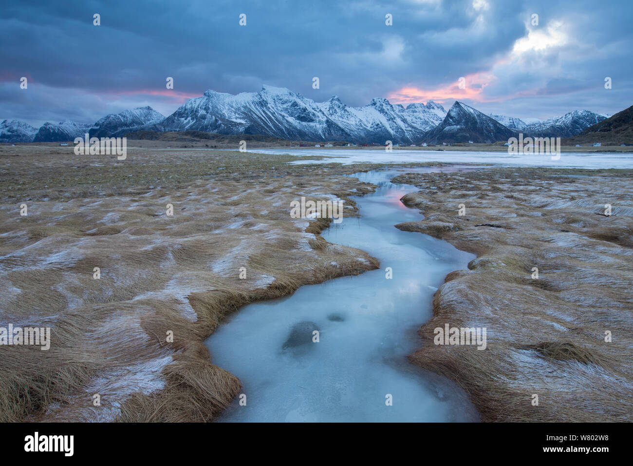 Saltmarsh with small stream, and mountain landscape at dawn in winter, Flakstadoya, Lofoten, Norway. February 2014 Stock Photo