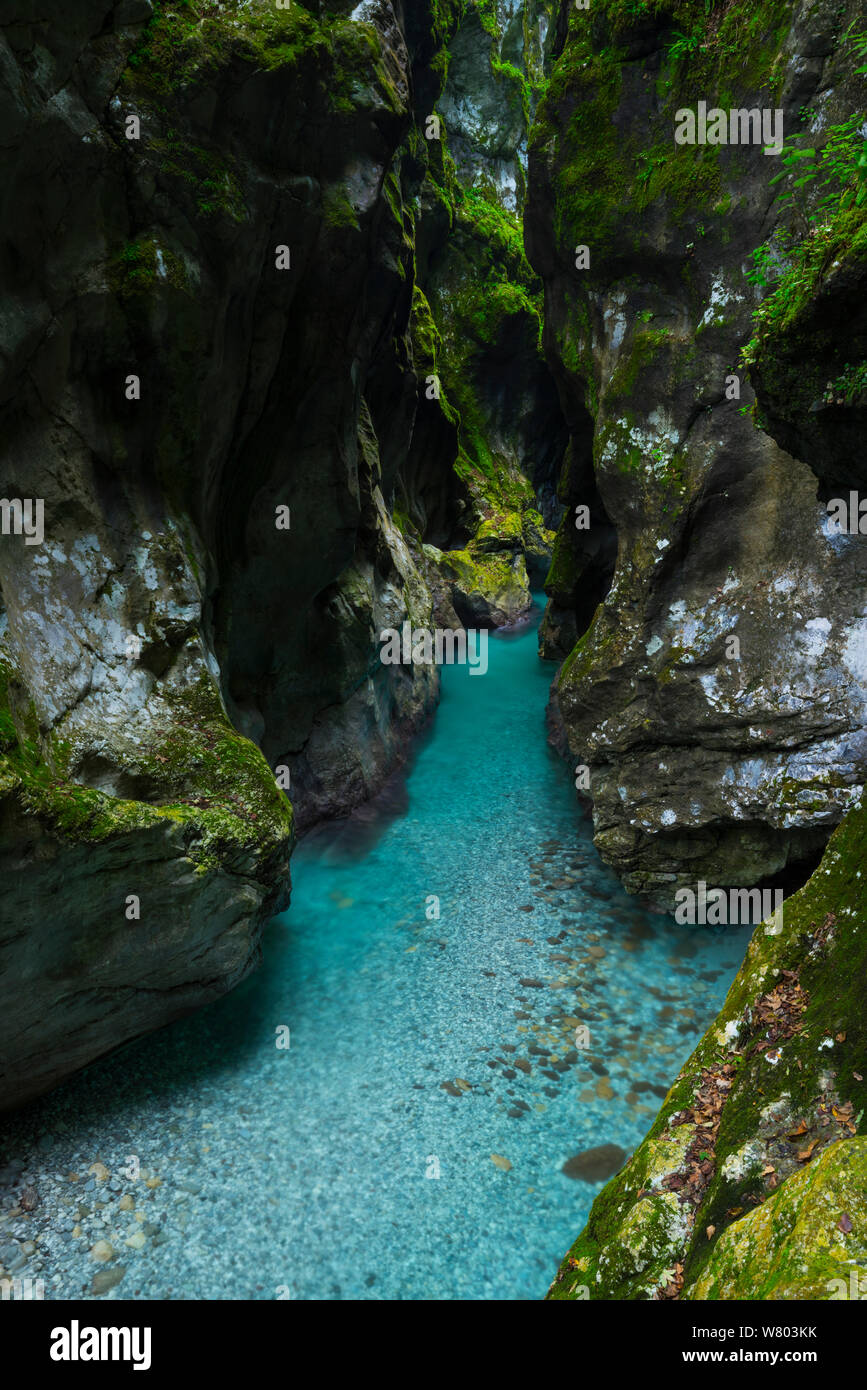 River running through Tolmin Gorges, Soca Valley, Triglav National Park, Julian Alps, Slovenia, October 2014. Stock Photo