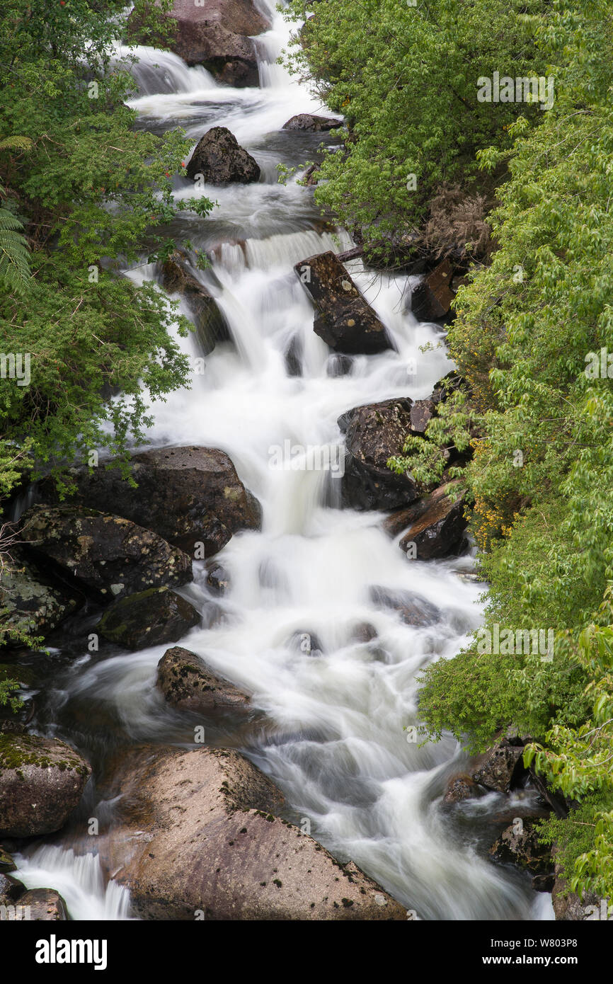 Waterfall at Alerce Andino National Park, near Puerto Montt, Chile. December 2012. Stock Photo