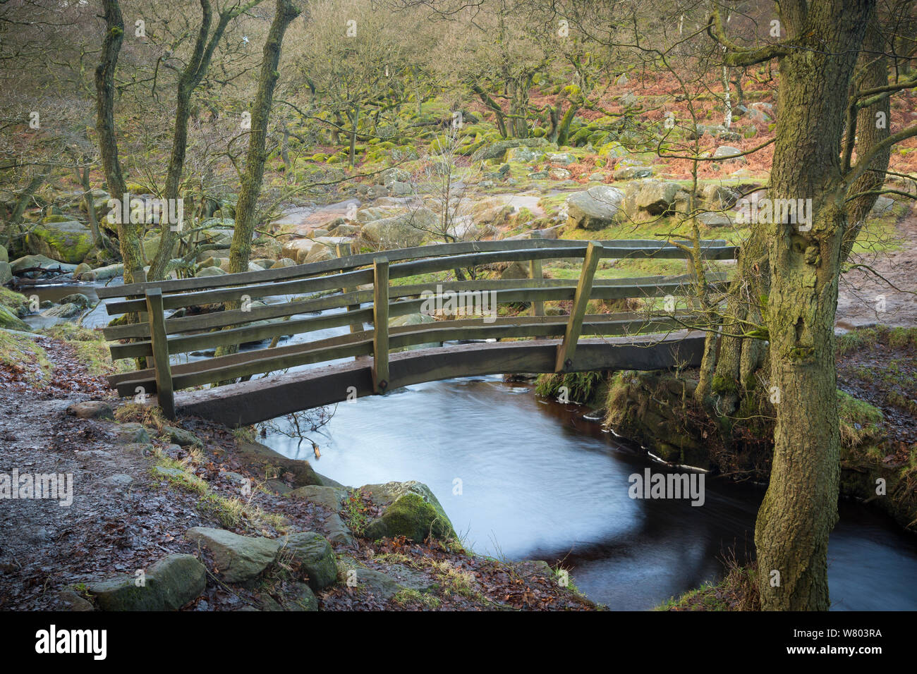 Wooden footbridge over Burbage Brook, with the ancient woodland of Padley Wood behind. Derbyshire, England, UK, January. Stock Photo