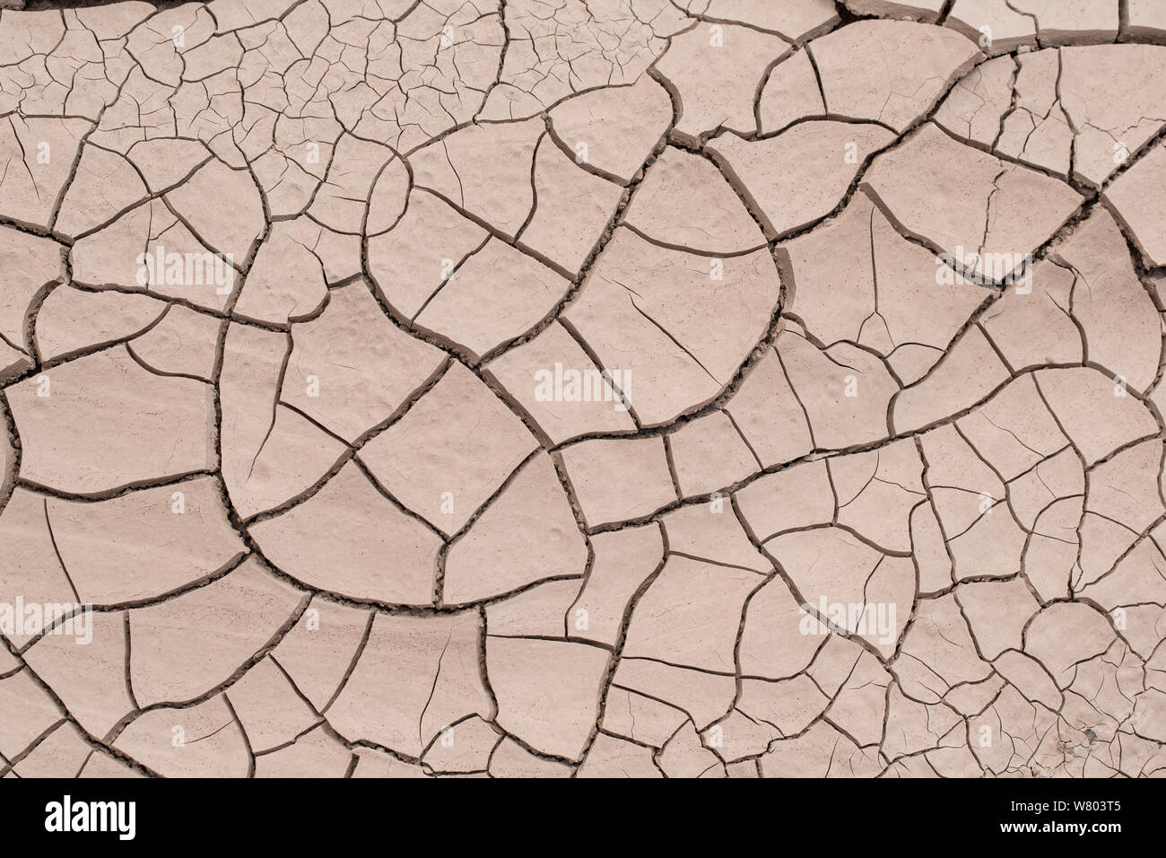 Cracked mud abstract, Atacama, Chile. Stock Photo