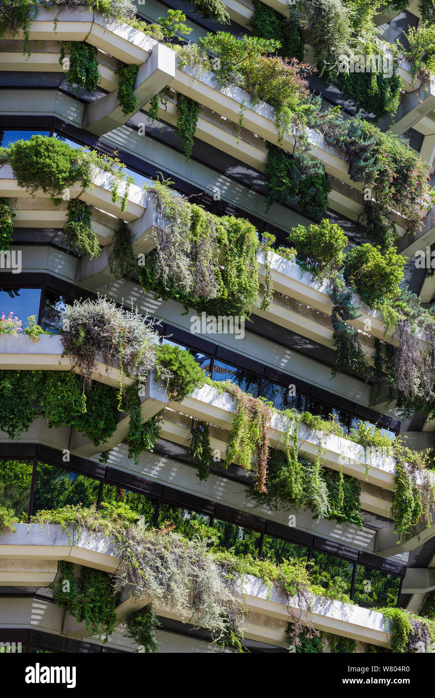 Vertical garden on the walls of a tower block, Barcelona. Catalonia. Spain, June 2013. Stock Photo