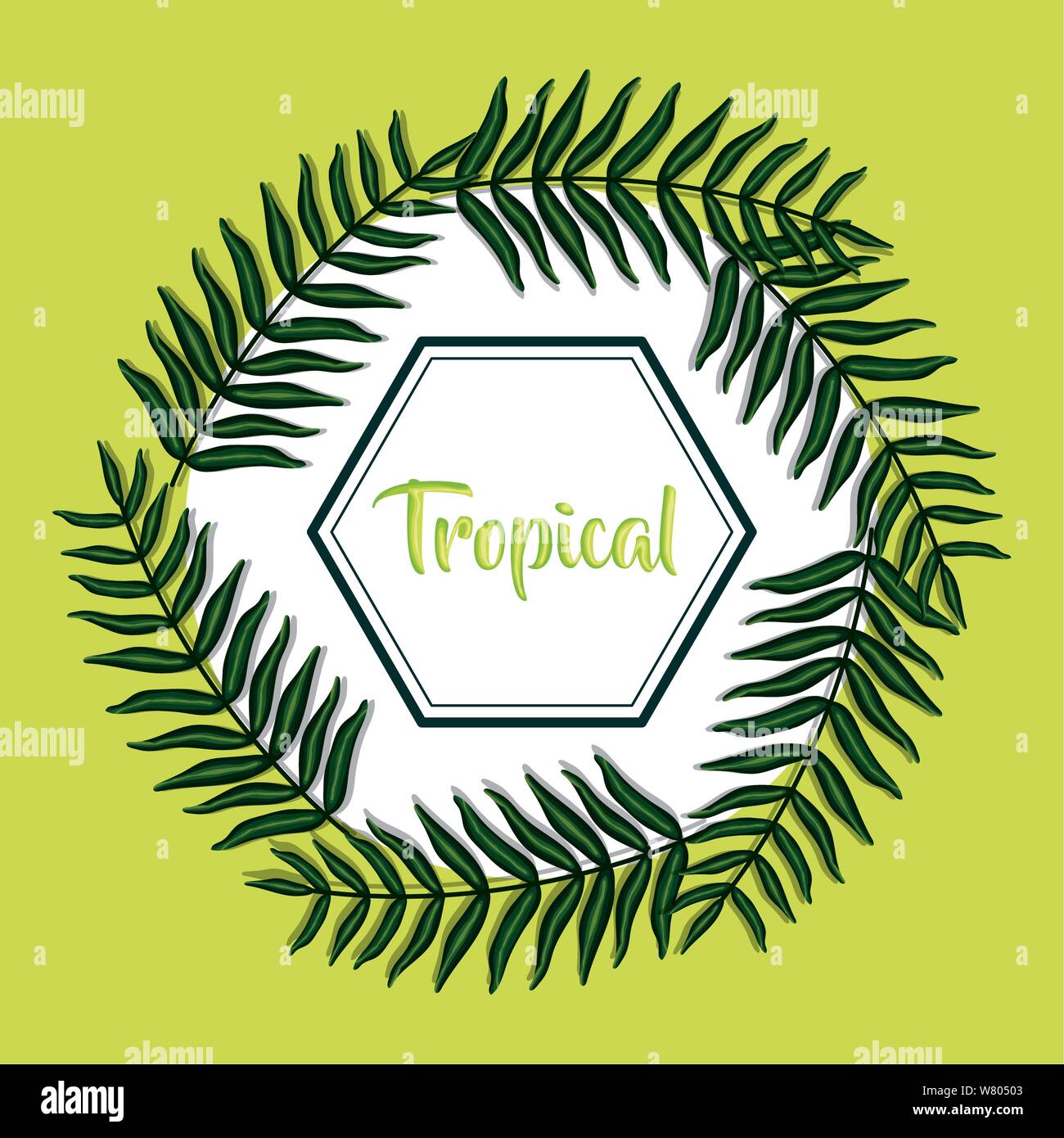 geometric frame with tropical leafs vector illustration design Stock ...