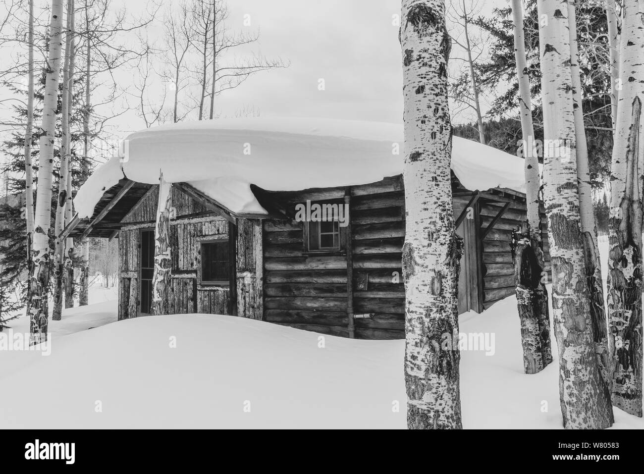Cabin woods Black and White Stock Photos & Images - Alamy
