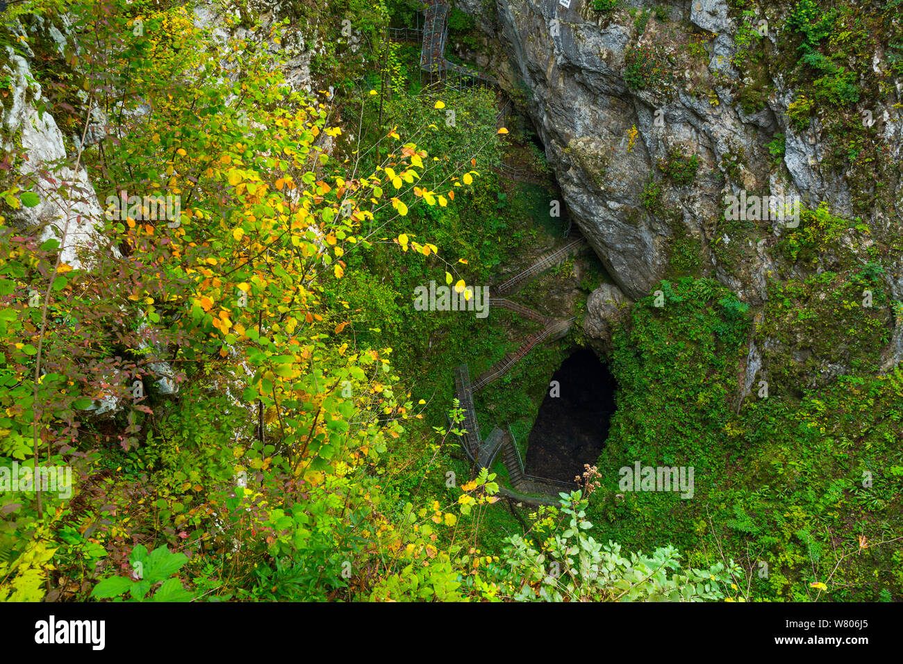 Stairs down into Pivka cave, Postojna Area, Green Karst, Slovenia, October. Stock Photo