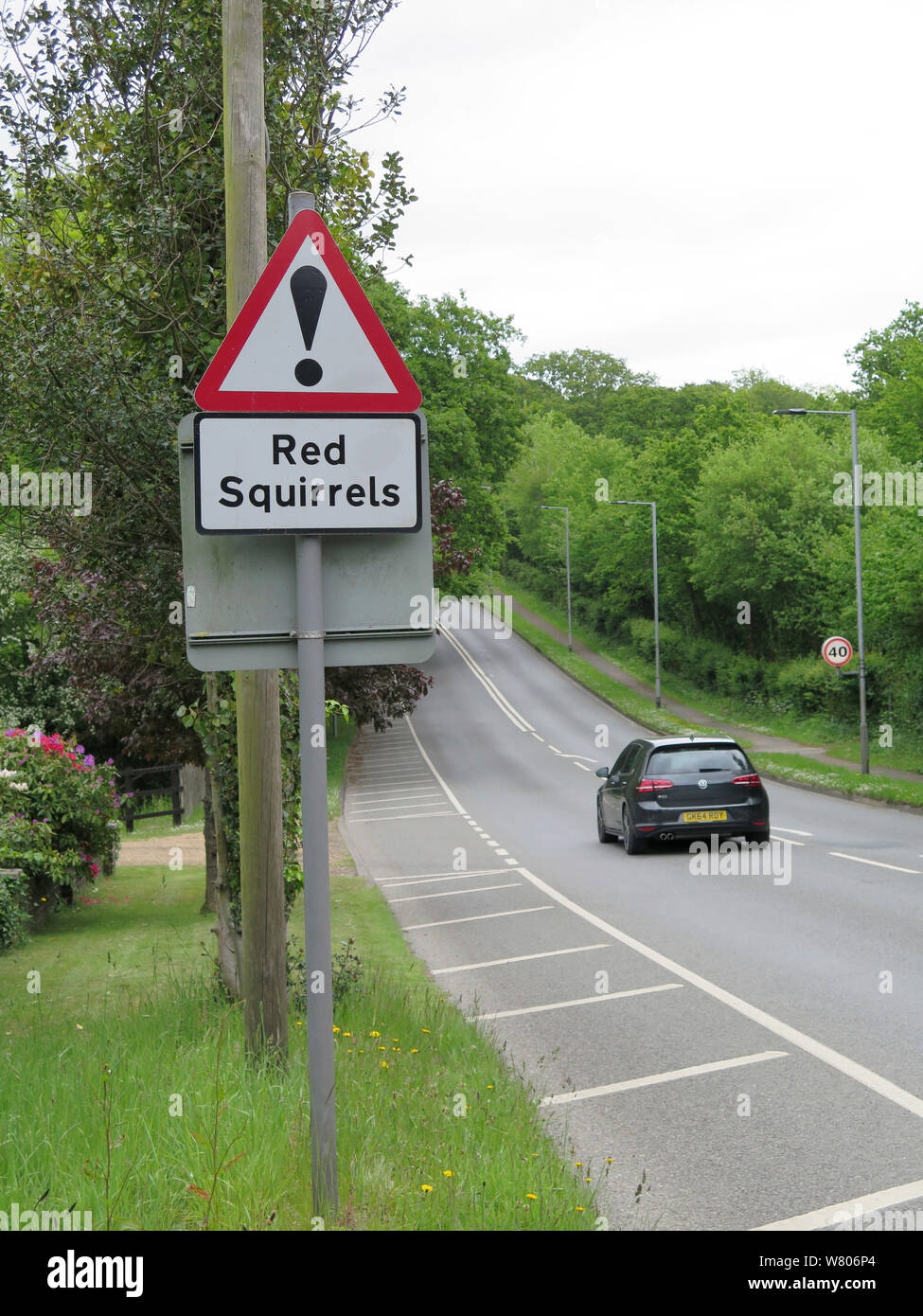 Red Squirrel warning road sign, Isle of Wight, Hampshire, England, UK, May. Stock Photo
