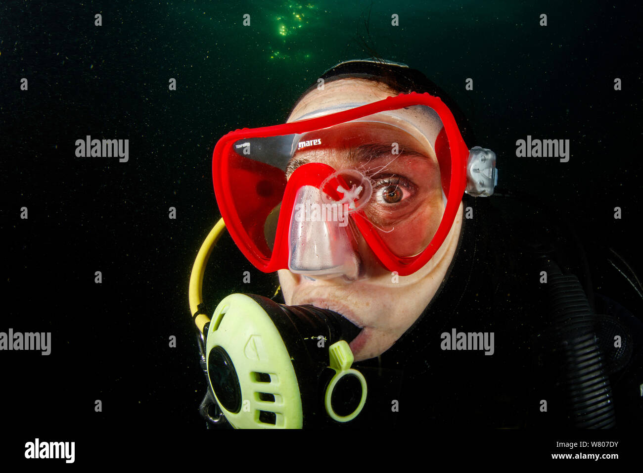 Scuba diver watching Freshwater jellyfish (Craspedacusta sowerbii