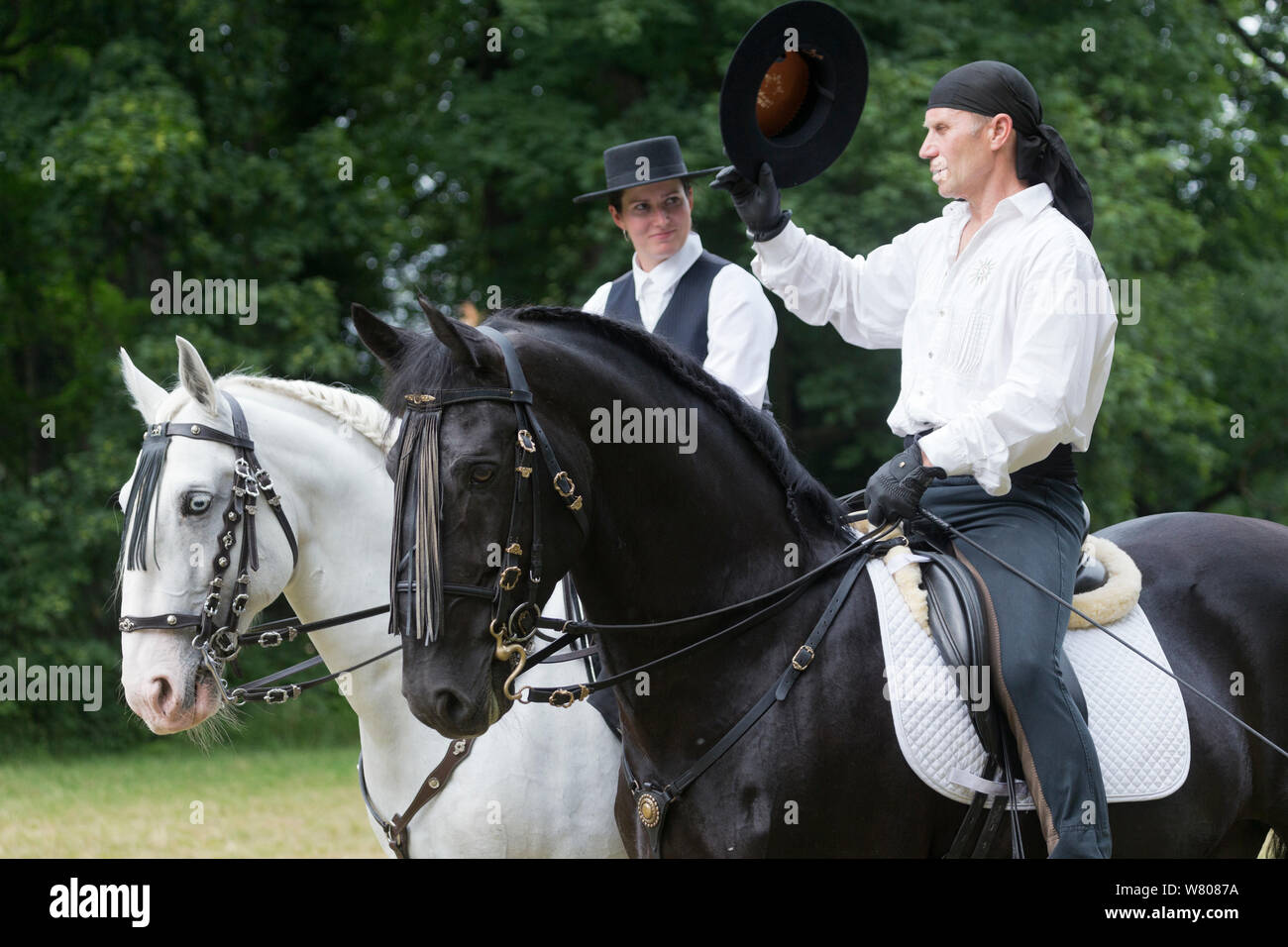 Two riders, dressed in Spanish period costume, ride two rare Kladruber