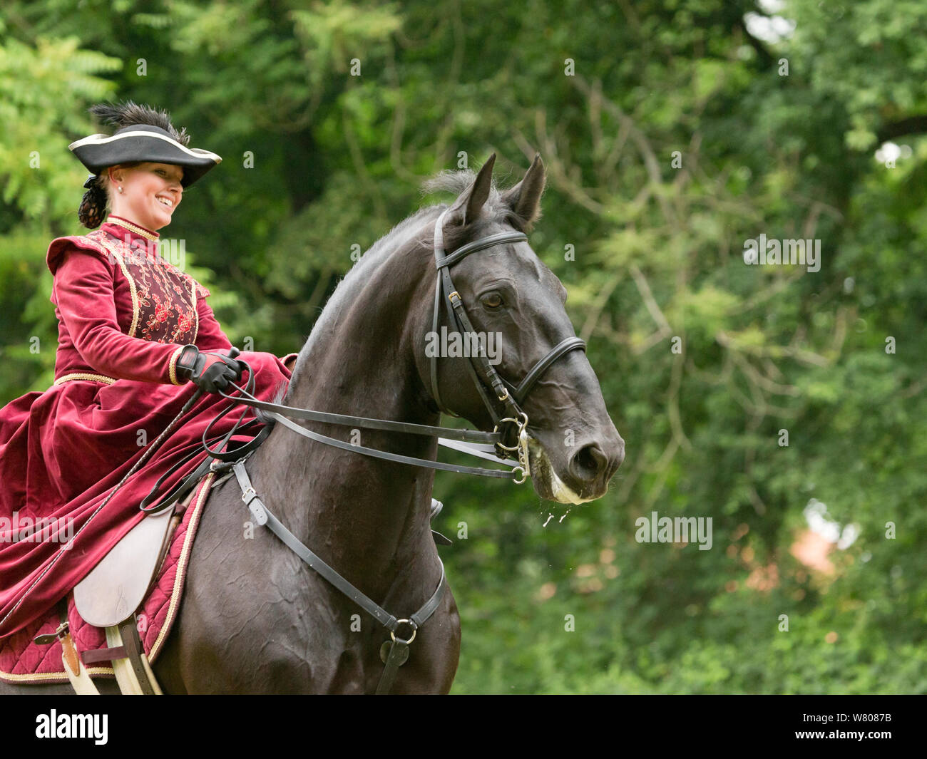 Lady dressed in period costume, rides side saddle a rare black Kladruber horse/stallion, at the Great Riding festival, in Slatinany national stud, Pardubice Region, Czech Republic. June 2015. Stock Photo