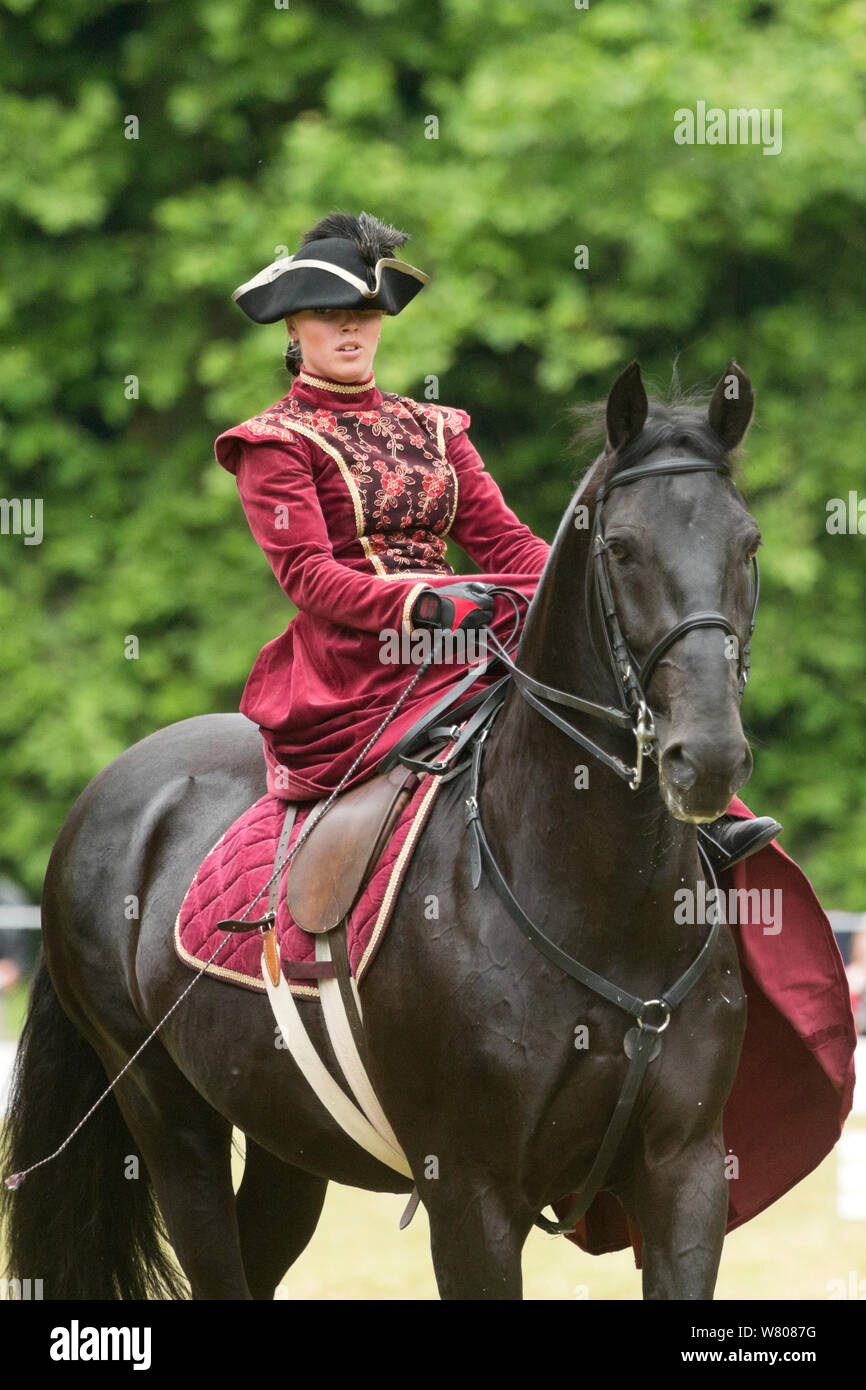 Lady dressed in period costume rides side saddle a rare black Kladruber horse/stallion, at the Great Riding festival, in Slatinany national stud, Pardubice Region, Czech Republic. June 2015. Stock Photo