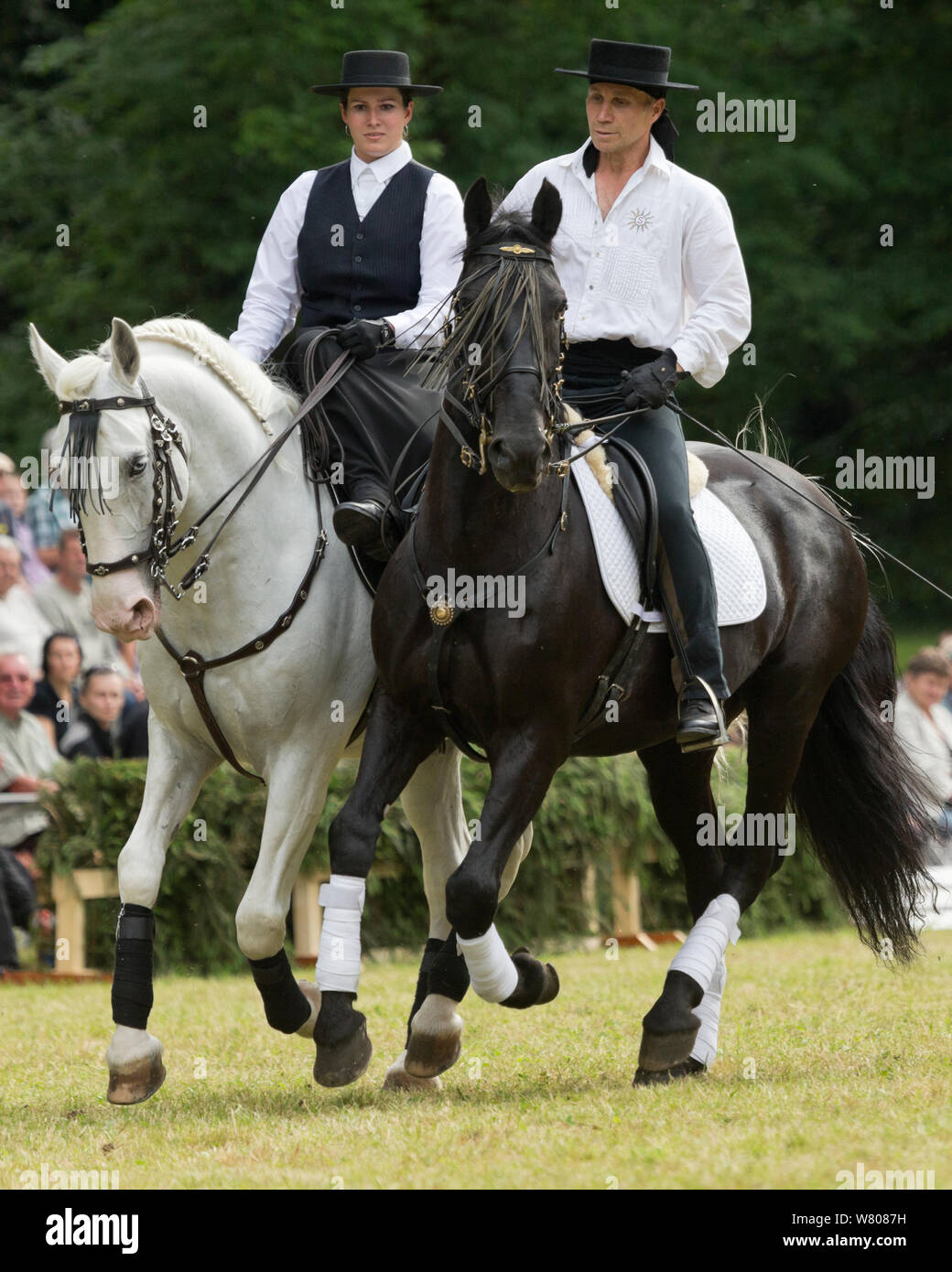 Two riders, dressed in Spanish period costume, ride two rare Kladruber