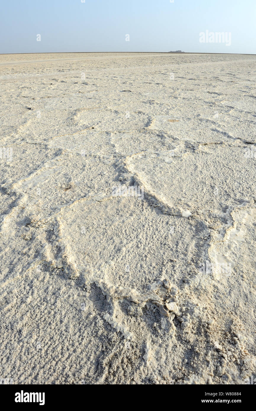 Salt formation of the Lake Assale, Danakil Depression, Afar region, Ethiopia, March 2015. Stock Photo